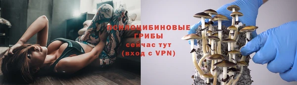 трава Нея