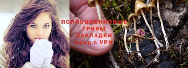 трава Нея