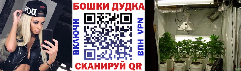 Каннабис Ganja  Разумное 